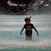 Winston Liu Photo 32