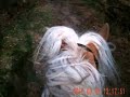 Jane Crossen Photo 8