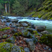 Steven Carrillo Photo 43