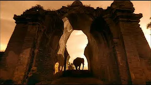 Gregory Colbert Photo 29