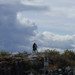 Dean Conner Photo 28