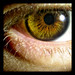 Richard Lash Photo 29
