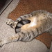 Heidi Murphy Photo 48