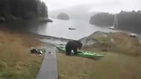 Karen Bear Photo 19