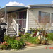 Maureen Ambrose Photo 21