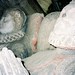 Dennis Pyle Photo 26