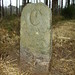 Devon Stone Photo 30
