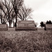 Nancy Kenyon Photo 28