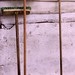Robert Broom Photo 41