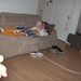 Valerie Stroud Photo 26