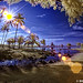 Nabil Ali Photo 35