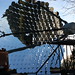 Fred Whipple Photo 28