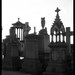 Ross Goff Photo 23