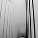 Joyce Pedersen Photo 33