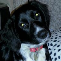 Karen Toft Photo 7