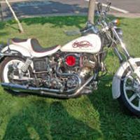 Richard Gerber Photo 10