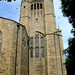 Randall Wells Photo 44