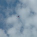 Andy Scoggins Photo 27