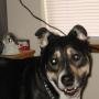 Barry Bornstein Photo 14