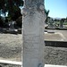 Michael Livermore Photo 28