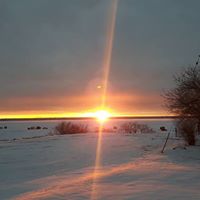 Steven Ernst Photo 3