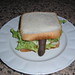 Norman Finger Photo 10
