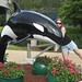 Kari Summers Photo 34