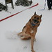 Colleen Shepard Photo 31