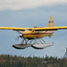 Max Ward Photo 38