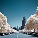 Bruce Bayne Photo 35