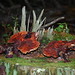 Melinda Stump Photo 21