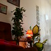 Anne Boyer Photo 39