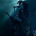 Daniel Maguire Photo 38