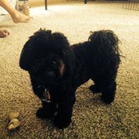 Nancy Helsel Photo 2