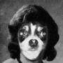 Fred Darling Photo 15
