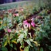 Alicia Becker Photo 37