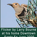 Larry Bourne Photo 26