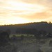 Dawn Hunter Photo 37
