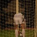 Kevin Gannon Photo 39