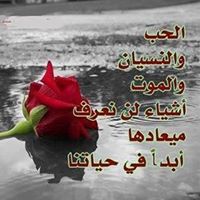 Ahmad Mourad Photo 4