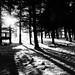 Donald Luce Photo 17