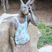 Gerald Groves Photo 19