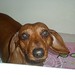 Don Swall Photo 14