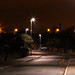 Denton Fox Photo 8