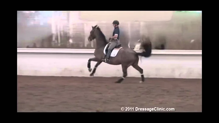 Jeremy Steinberg Photo 24