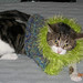 Margaret Cuff Photo 16