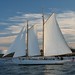 A Sloop Photo 14