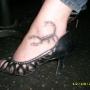 Carrie Hubbard Photo 27