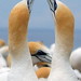 Thomas Hawkes Photo 30