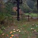 David Moulder Photo 31